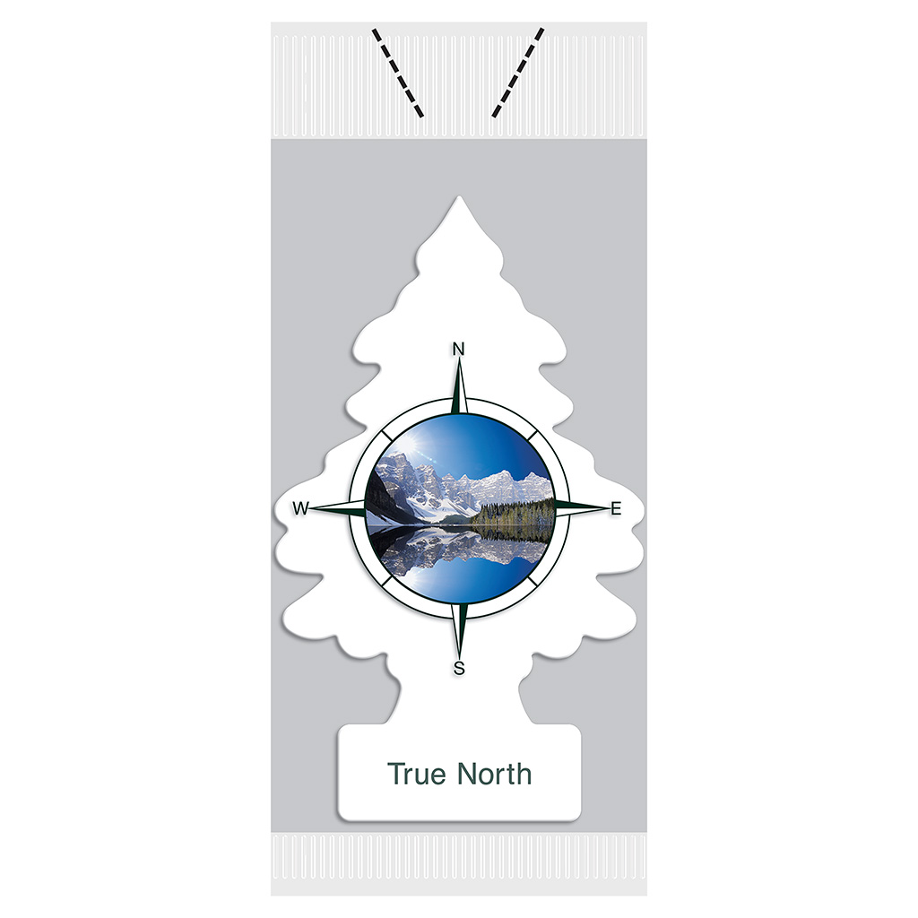 Little Tree Vending Air Freshener 72 Piece - True North