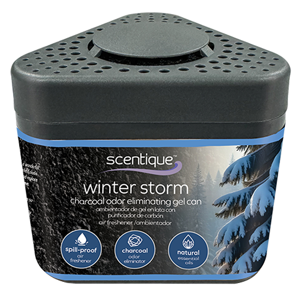 Scentique Odor Eliminating Charcoal Gel Air Freshener - Winter Storm