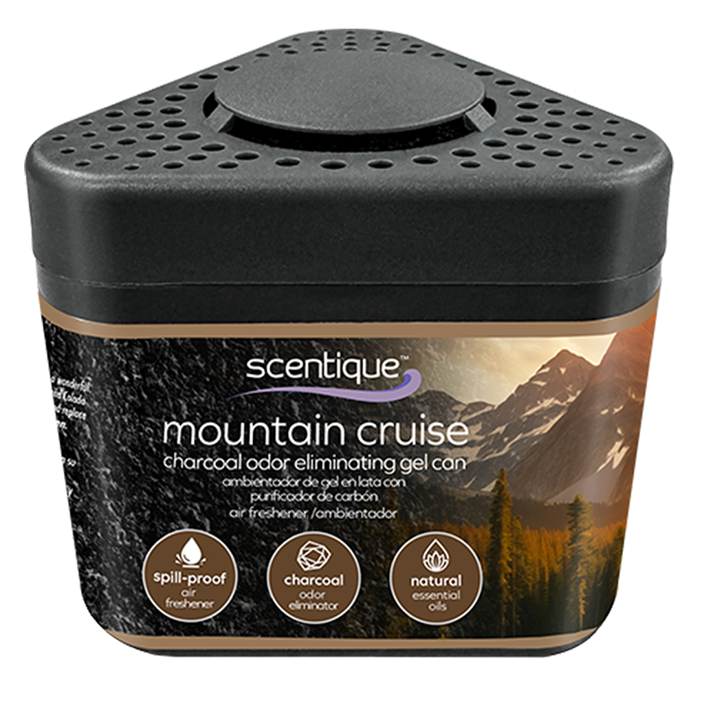 Scentique Odor Eliminating Charcoal Gel Air Freshener - Mountain Cruise