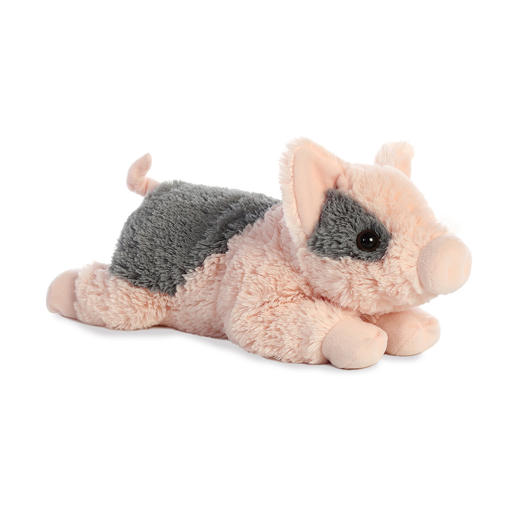 Flopsie - Tidbit Mini Pig