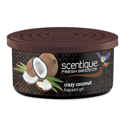 Scentique Natural Gel Can Air Freshener -Coconut