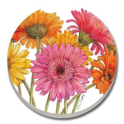 Auto Coaster - Colored Gerber Daisies