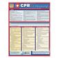 Quick Study-CPR & Lifesaving - 5 Pack