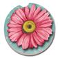 Auto Coaster - Pink Daisy