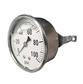 Stainless Steel Case Back Mounted Liquid Filled Gauge 100 Psi