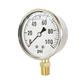 Stainless Steel Case Bottom Mounted Liquid Filled Gauge 200 Psi
