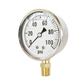 Stainless Steel Case Bottom Mounted Liquid Filled Gauge 600 Psi