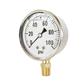 Stainless Steel Case Bottom Mounted Liquid Filled Gauge 1000 Psi