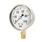 Stainless Steel Case Bottom Mounted Liquid Filled Gauge 3000 Psi