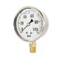 Stainless Steel Case Bottom Mounted Liquid Filled Gauge 6000 Psi